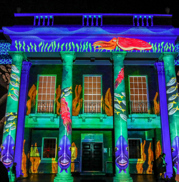 Building with beautiful light displays during the play manly event